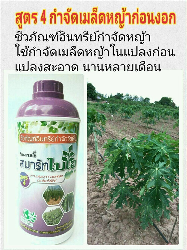 สารสกัดอินทรีย์ กำจัดวัชพืช สูตร4  คุมเมล็ดพืช 