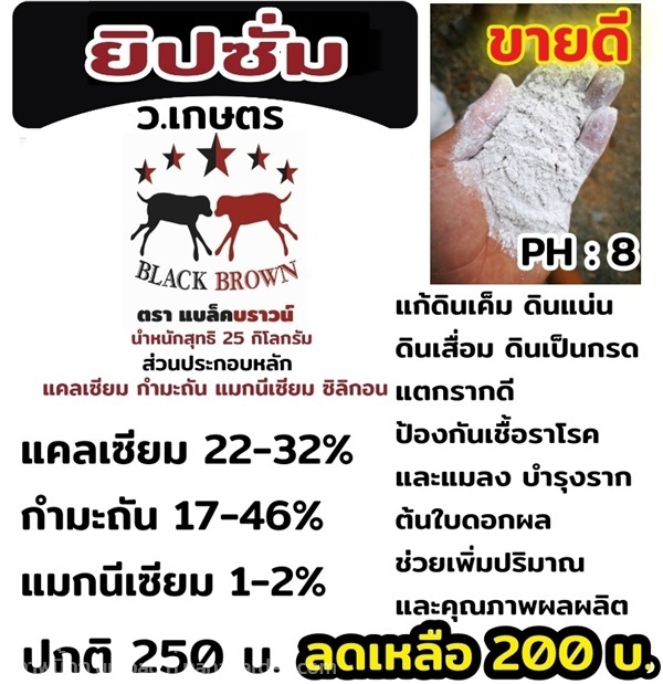 ยิปซัม เเบล็คบราวน์ | ร้าน ว.เกษตร จันทบุรี - เมืองจันทบุรี จันทบุรี