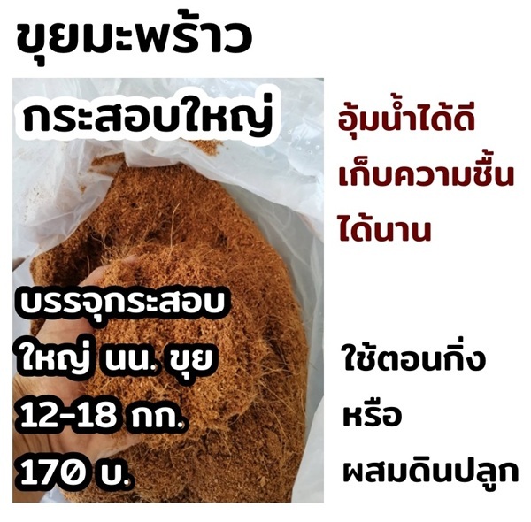  ขุยมะพร้าว ว.เกษตร จันทบุรี | ร้าน ว.เกษตร จันทบุรี - เมืองจันทบุรี จันทบุรี