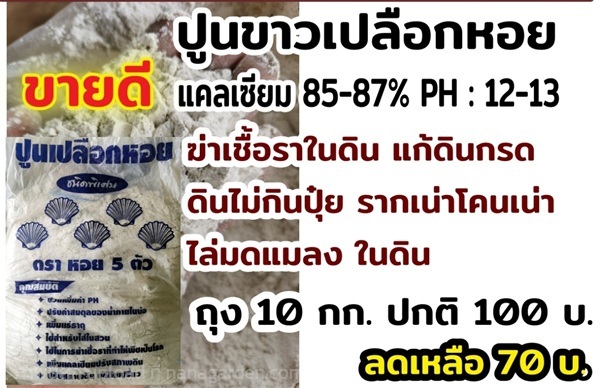 ปูนขาว(เปลือกหอย) ว.เกษตร จันทบุรี  | ร้าน ว.เกษตร จันทบุรี - เมืองจันทบุรี จันทบุรี