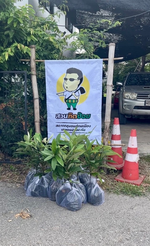 ต้นมะริดสูง 50 ซม. | สวนทิดป้อม  บางแค กทม. - บางแค กรุงเทพมหานคร