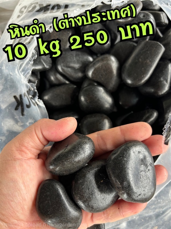 หินดำ | คุณฝน ตลาดคำเที่ยงเชียงใหม่ -  เชียงใหม่