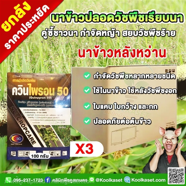 กำจัดหญ้า นาข้าว ควินไพรอน หญ้าใบแคบ ใบกว้าง หญ้าก | คลินิกพืชคูลเกษตร - ชุมตาบง นครสวรรค์