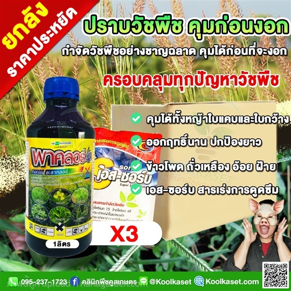 ชุดคุมหญ้าก่อนงอก พาคลอร์ อะลาคลอร์ ข้าวโพด อ้อย  | คลินิกพืชคูลเกษตร - ชุมตาบง นครสวรรค์