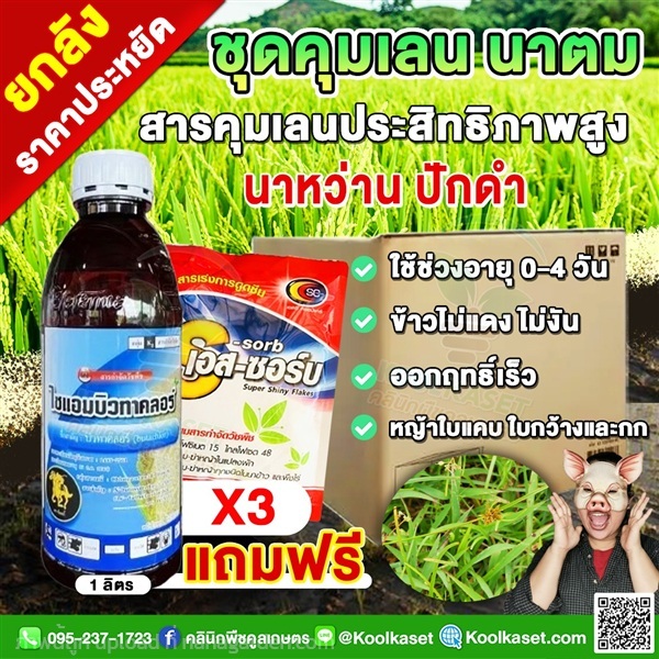 ชุดคุมเลน ในนาข้าว นาตม นาดำ หลังหว่าน หลังปักดำ  | คลินิกพืชคูลเกษตร - ชุมตาบง นครสวรรค์