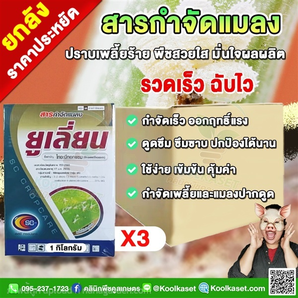 สารกำจัดเพลี้ย ยูเลี่ยน ไทอะมีทอกแซม เพลี้ยแป้ง  | คลินิกพืชคูลเกษตร - ชุมตาบง นครสวรรค์