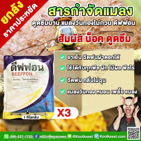 กำจัดแมลงวันทอง ดีฟฟอน หนอน แมลงหวี่ แมลงวันทอง  | คลินิกพืชคูลเกษตร - ชุมตาบง นครสวรรค์