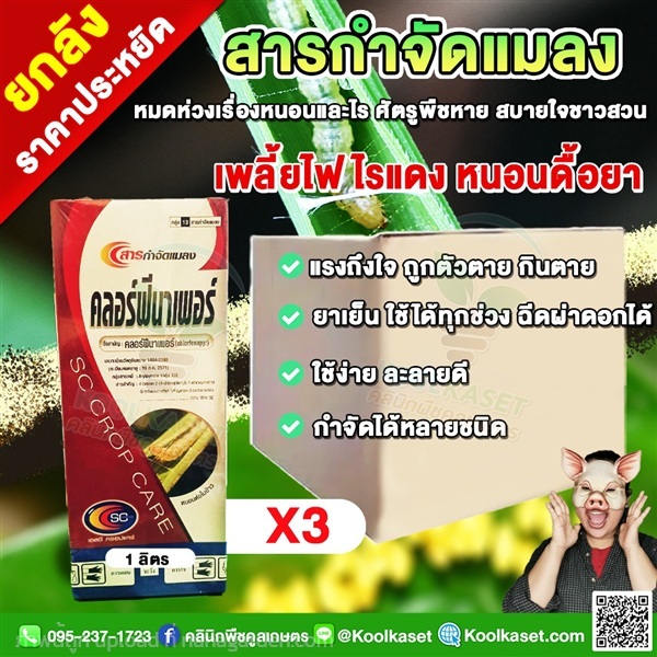 กำจัดหนอน คลอร์ฟีนาเพอร์ หนอนกอ หนอนชอนใบ แมลง  | คลินิกพืชคูลเกษตร - ชุมตาบง นครสวรรค์