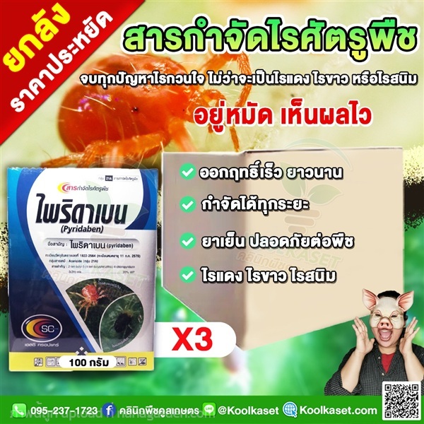 กำจัดไร ไพริดาเบน ป้องกันกำจัด ไรแดง ไรขาว ไรสนิม  | คลินิกพืชคูลเกษตร - ชุมตาบง นครสวรรค์