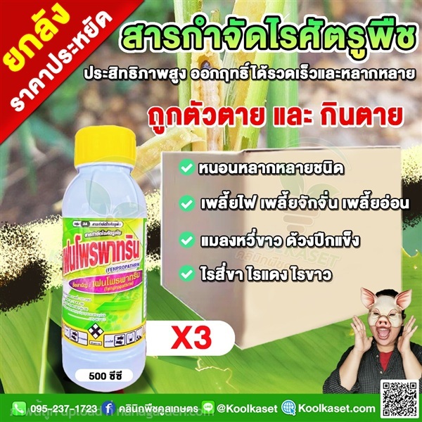 น็อค หนอน เพลี้ย แมลง เปอร์เซ็นต์สูง เฟนโพรพาทริน  | คลินิกพืชคูลเกษตร - ชุมตาบง นครสวรรค์