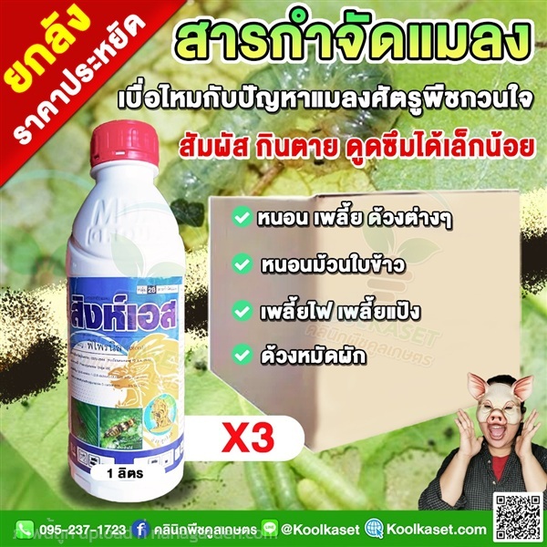 สิงห์เอส ฟิโพรนิล กำจัดเพลี้ยไฟ แมลงปีกแข็ง  | คลินิกพืชคูลเกษตร - ชุมตาบง นครสวรรค์