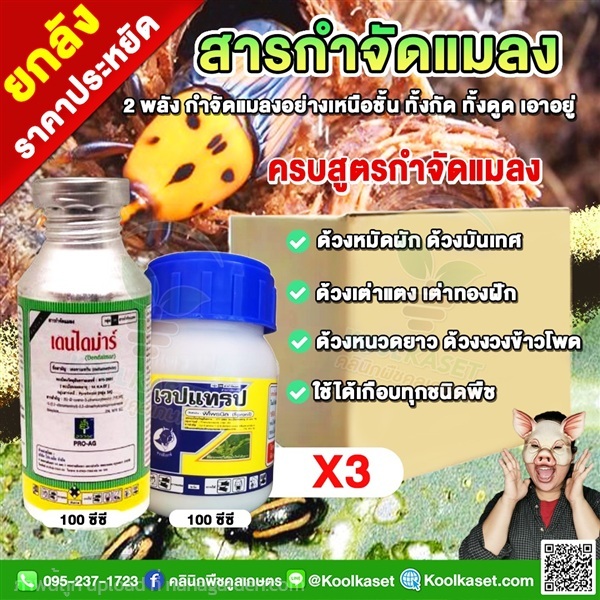 ชุดกำจัดแมลงปีกแข็ง เพลี้ยไฟ แมงค่อมทอง ด้วง ปลวก  | คลินิกพืชคูลเกษตร - ชุมตาบง นครสวรรค์