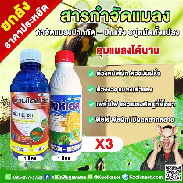 กำจัดแมลงปีกแข็ง ปลวก เพลี้ยไฟ หนอน ด้วงกุหลาบ  | คลินิกพืชคูลเกษตร - ชุมตาบง นครสวรรค์