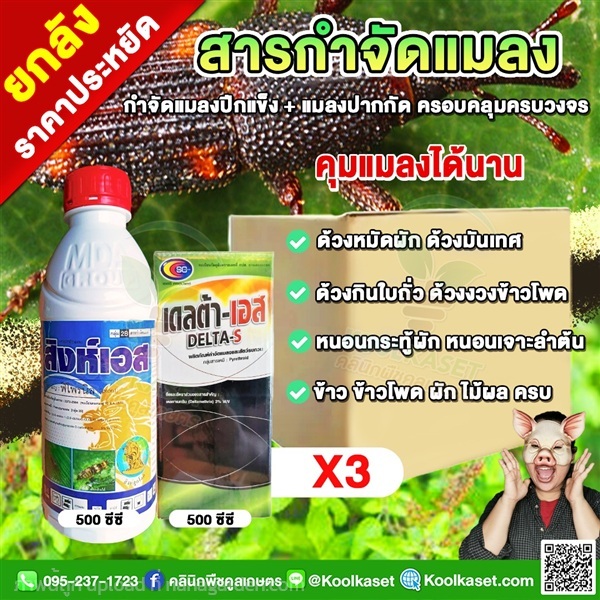 กำจัดแมลงปีกแข็ง เพลี้ยไฟ มด แมลงค่อมทอง หนอน  | คลินิกพืชคูลเกษตร - ชุมตาบง นครสวรรค์