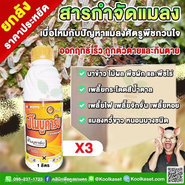 ฟีโนบูคาร์บ ป้องกันกำจัด เพลี้ยกระโดด  | คลินิกพืชคูลเกษตร - ชุมตาบง นครสวรรค์
