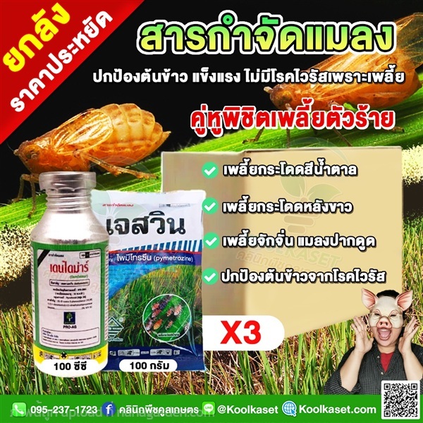 ฟีโนบูคาร์บ เดนไดม่าร์ กำจัด เพลี้ยกระโดด  | คลินิกพืชคูลเกษตร - ชุมตาบง นครสวรรค์