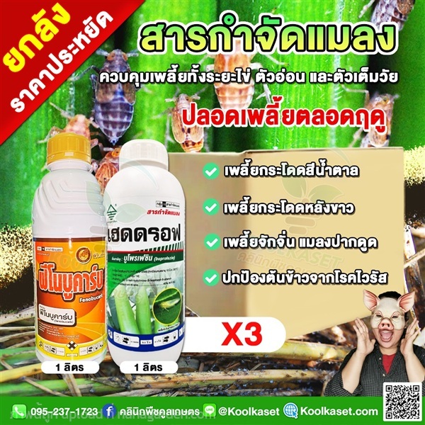 ฟีโนบูคาร์บ บูโพรเฟซิน กำจัด พร้อมคุมไข่  | คลินิกพืชคูลเกษตร - ชุมตาบง นครสวรรค์