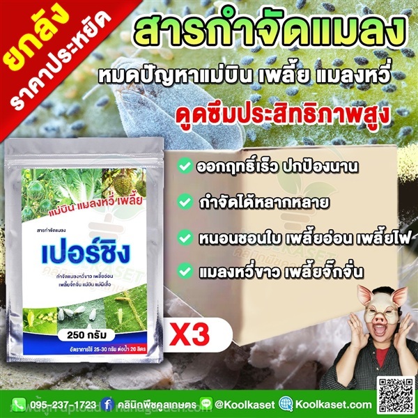 เปอร์ชิง ป้องกันกำจัด แมลงหวี่ขาว เพลี้ยจั๊กจั่นฝอ | คลินิกพืชคูลเกษตร - ชุมตาบง นครสวรรค์