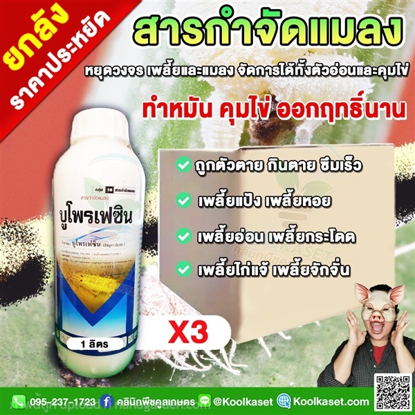 บูโพรเฟซิน กำจัด แมลงปากดูด เพลี้ยจั๊กจั่น  | คลินิกพืชคูลเกษตร - ชุมตาบง นครสวรรค์