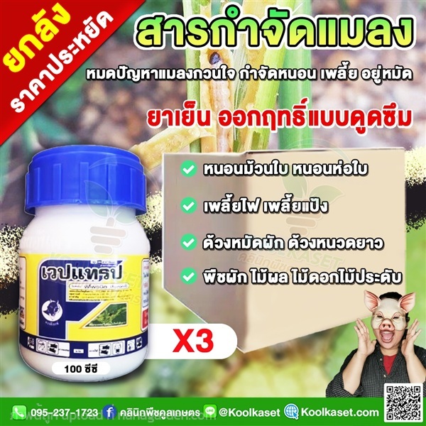 เวปแทรป ชนิดดูดซึม กำจัด หนอน เพลี้ยไฟ แมลงปีกแข็ง | คลินิกพืชคูลเกษตร - ชุมตาบง นครสวรรค์