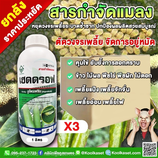 เฮดดรอฟ บูโพรเฟซิน ป้องกัน แมลงปากดูด  | คลินิกพืชคูลเกษตร - ชุมตาบง นครสวรรค์