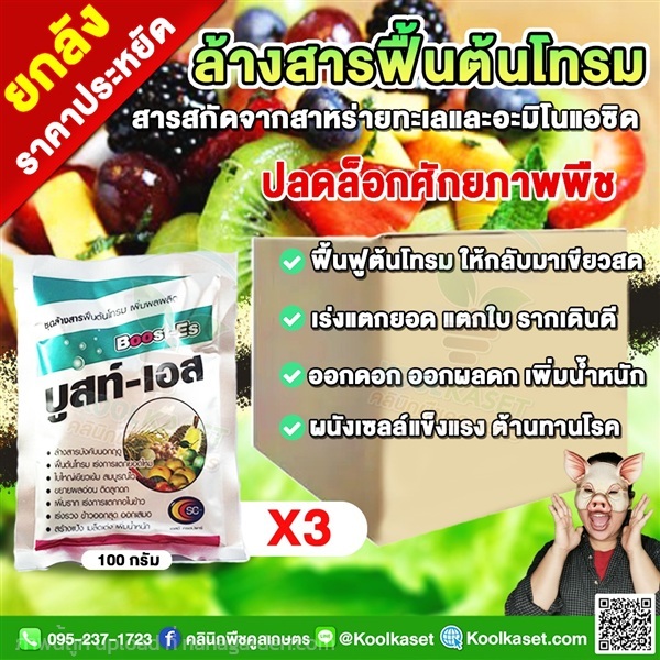 บูสท์เอส สาหร่ายเข้มข้น อะมิโนผง ฟื้นต้นโทรม  | คลินิกพืชคูลเกษตร - ชุมตาบง นครสวรรค์