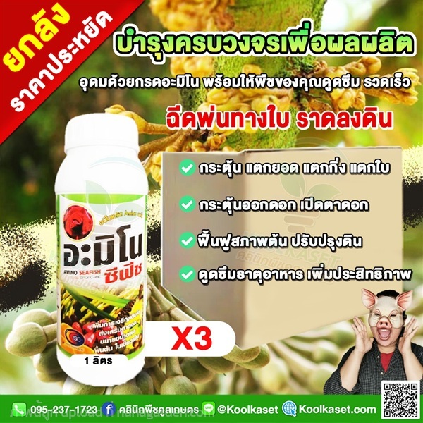 อะมิโนซีฟิช อะมิโนพืช เข้มข้น สาหร่ายธรรมชาติ  | คลินิกพืชคูลเกษตร - ชุมตาบง นครสวรรค์