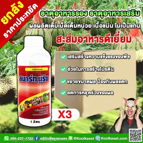 สมาร์ทนูริช อาหารเสริมพืช ติดดอกดี สะสมอาหารสมบูรณ | คลินิกพืชคูลเกษตร - ชุมตาบง นครสวรรค์