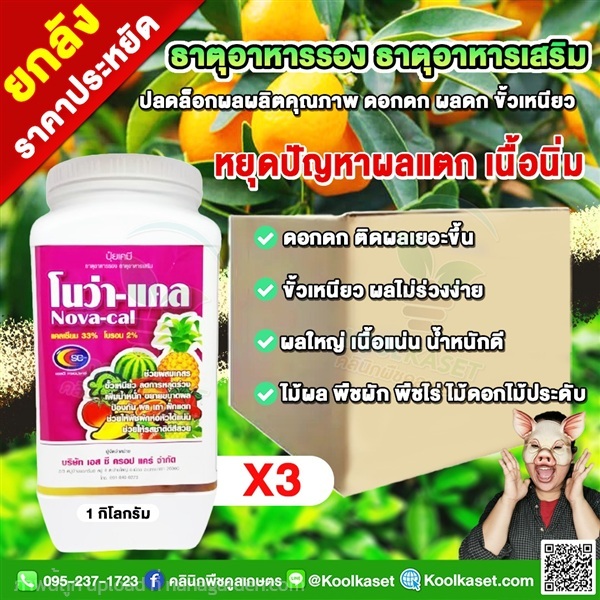 โนว่าแคล แคลเซียมโบรอน ชนิดผง สูตรเข้มข้น น้ำหนัก | คลินิกพืชคูลเกษตร - ชุมตาบง นครสวรรค์