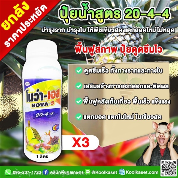 โนว่าเอส ปุ๋ยน้ำ 20-4-4 บำรุงต้น ใบ เร่งการแตกยอด  | คลินิกพืชคูลเกษตร - ชุมตาบง นครสวรรค์