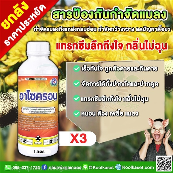 อาโซครอน โพรฟีโนฟอส ไซเพอร์เมทริน กำจัด แมลง  | คลินิกพืชคูลเกษตร - ชุมตาบง นครสวรรค์