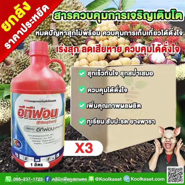 อีทีฟอน สารเร่งสุก กระตุ้นออกดอก ออกช่อ ผลไม้  | คลินิกพืชคูลเกษตร - ชุมตาบง นครสวรรค์