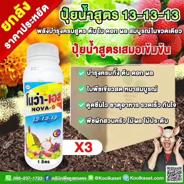 โนว่าเอส ปุ๋ยน้ำ สูตรเสมอ 13-13-13 บำรุงต้น ใบ ดอก | คลินิกพืชคูลเกษตร - ชุมตาบง นครสวรรค์