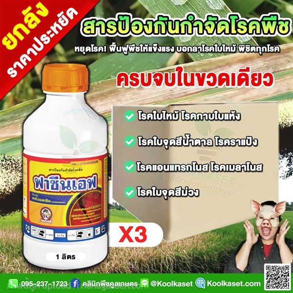 สารกำจัดเชื้อรา คาร์เบนดาซิม โรคใบจุด แอนแทรคโนส  | คลินิกพืชคูลเกษตร - ชุมตาบง นครสวรรค์