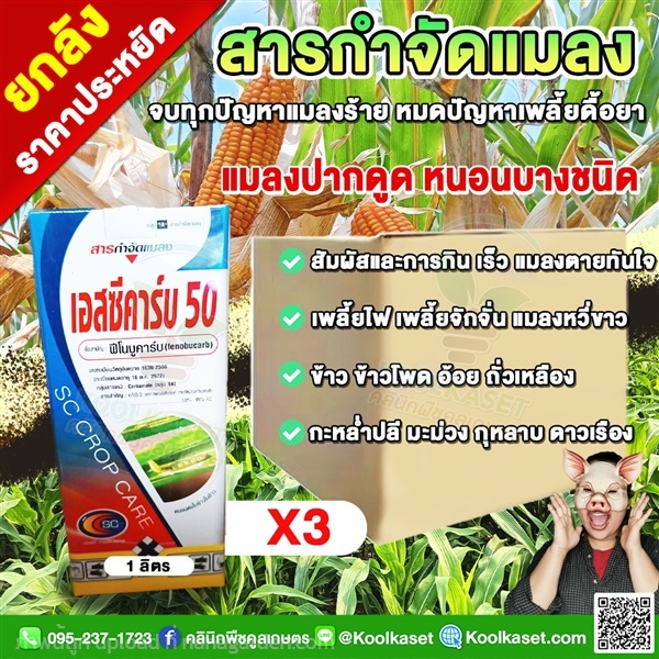 เอสซีคาร์บ ฟีโนบูคาร์บ กำจัดเพลี้ย เพลี้ยกระโดด  | คลินิกพืชคูลเกษตร - ชุมตาบง นครสวรรค์