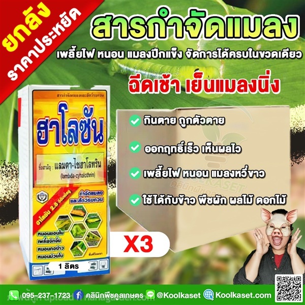 สูตรน็อคเย็น แลมด้าไซฮาโลทริน กำจัดหนอน เพลี้ย  | คลินิกพืชคูลเกษตร - ชุมตาบง นครสวรรค์