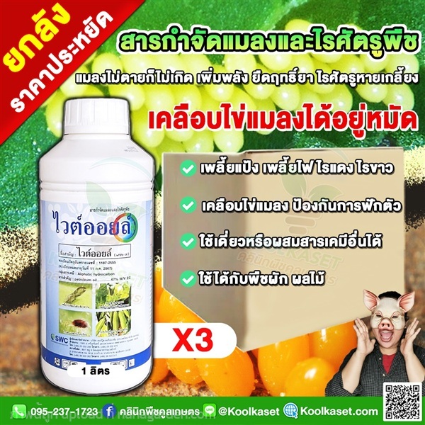 ไวต์ออยล์ เสริมฤทธิ์ เพิ่มประสิทธิภาพยาแมลง  | คลินิกพืชคูลเกษตร - ชุมตาบง นครสวรรค์