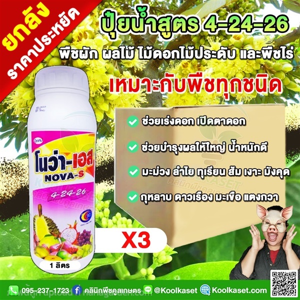 โนว่าเอส ปุ๋ยน้ำ สูตรเร่งดอกผล 4-24-26 เพิ่มออกดอก | คลินิกพืชคูลเกษตร - ชุมตาบง นครสวรรค์