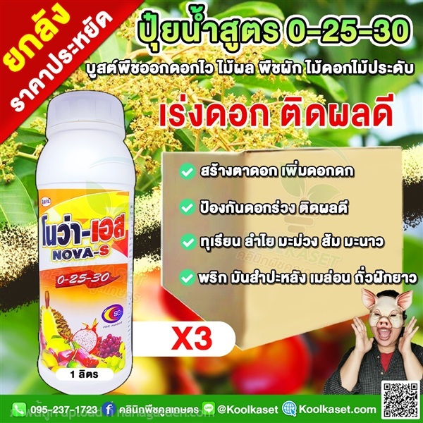 โนว่าเอส ปุ๋ยน้ำ เร่งผล 0-25-30 ลดแตกใบอ่อน  | คลินิกพืชคูลเกษตร - ชุมตาบง นครสวรรค์