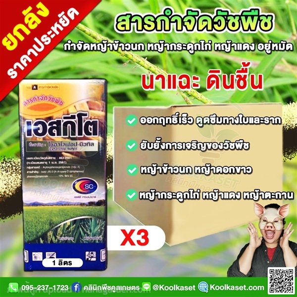 สารกำจัดวัชพืชใบแคบ นาข้าว เอสกีโต ไซฮาโลฟอป  | คลินิกพืชคูลเกษตร - ชุมตาบง นครสวรรค์