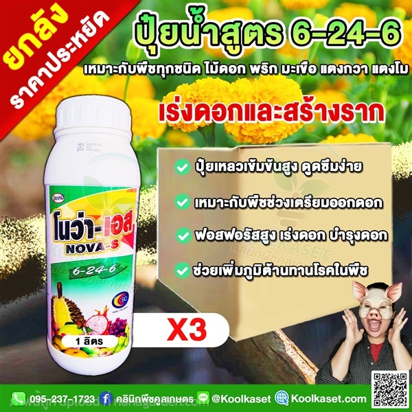 โนว่าเอส ปุ๋ยน้ำ บำรุงดอก 6-24-6 บำรุงดอก ราก  | คลินิกพืชคูลเกษตร - ชุมตาบง นครสวรรค์