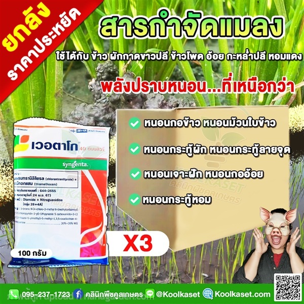 สูตรใหม่ เวอตาโก กำจัดหนอนกอข้าว หนอนม้วนใบ เพลี้ย | คลินิกพืชคูลเกษตร - ชุมตาบง นครสวรรค์