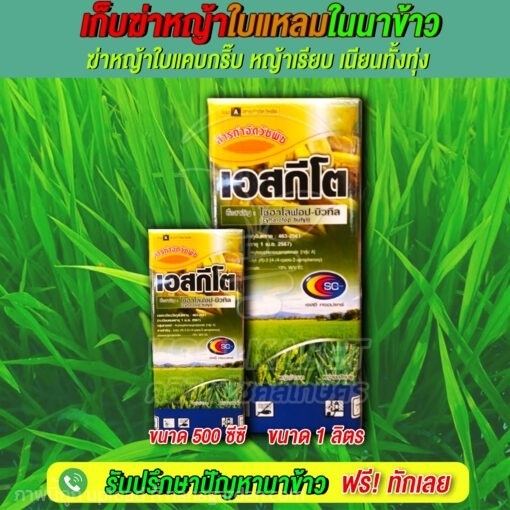 เอสกีโต  สารกำจัดวัชพืชใบแคบ ในนาข้าว | คลินิกพืชคูลเกษตร - ชุมตาบง นครสวรรค์
