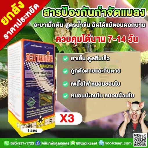 อะบาเมกติน สูตรน้ำข้น กำจัดหอยเชอรี่ เบื่อปู มด  | คลินิกพืชคูลเกษตร - ชุมตาบง นครสวรรค์