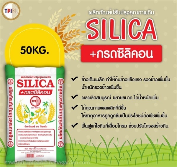 สารปรับปรุงดิน SILICA + กรดซิลิคอน | 44ทวีโชค - เมืองราชบุรี ราชบุรี