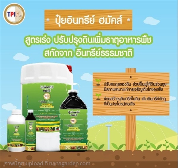 ปุ๋ยอินทรีย์ ฮมัคส์ ออแกนิค (ปุ๋ยเขียว) | 44ทวีโชค - เมืองราชบุรี ราชบุรี