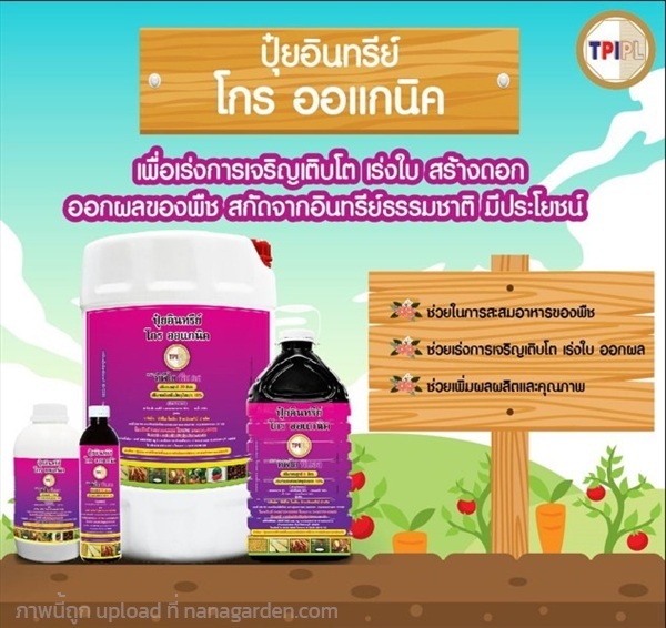 ปุ๋ยอินทรีย์ โกร ออแกนิค (ปุ๋ยม่วง) | 44ทวีโชค - เมืองราชบุรี ราชบุรี