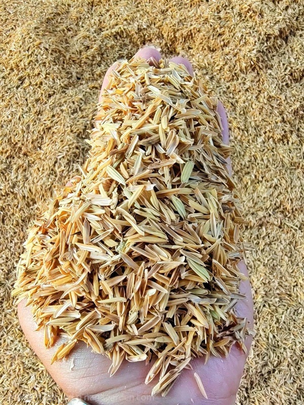 ขายแกลบดิบคัดคุณภาพ ราคาถูก จัดส่งทั่วไทย | PoonsinKarnkaset - ทองผาภูมิ กาญจนบุรี