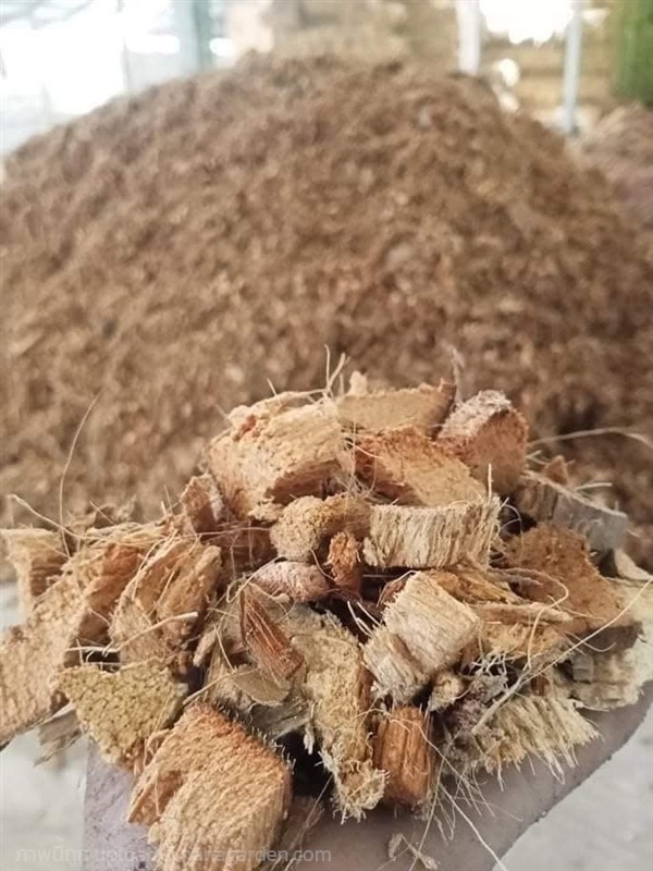 ขายเปลือกมะพร้าวสับ ราคาถูก | PoonsinKarnkaset - ทองผาภูมิ กาญจนบุรี
