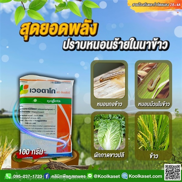 สารป้องกันและกำจัดแมลง เวอตาโก หนอนม้วนใบ ใบขาว  | คลินิกพืชคูลเกษตร - ชุมตาบง นครสวรรค์